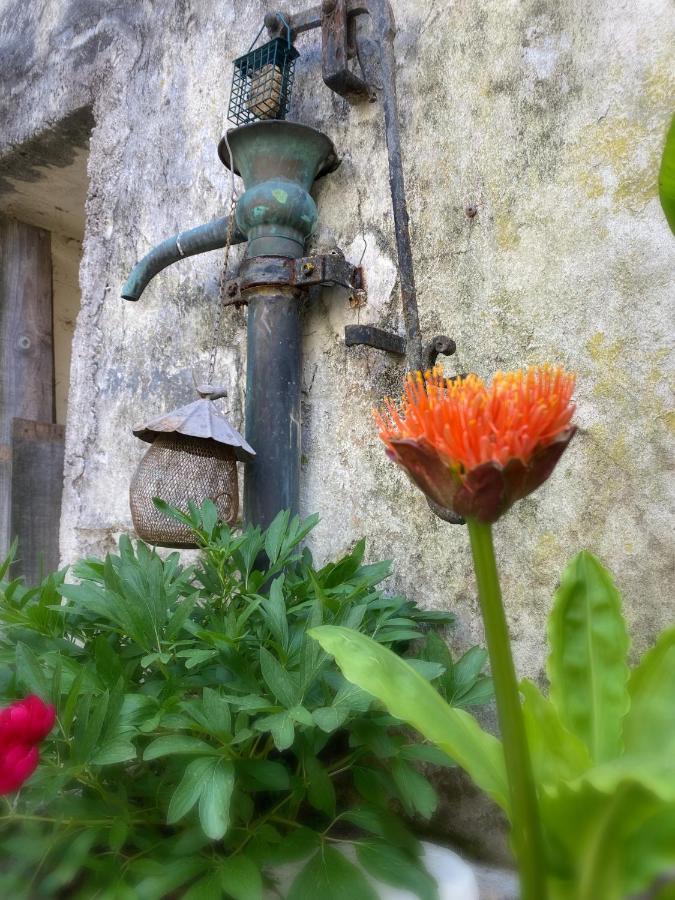 Serendipity Eymet B&B Buitenkant foto